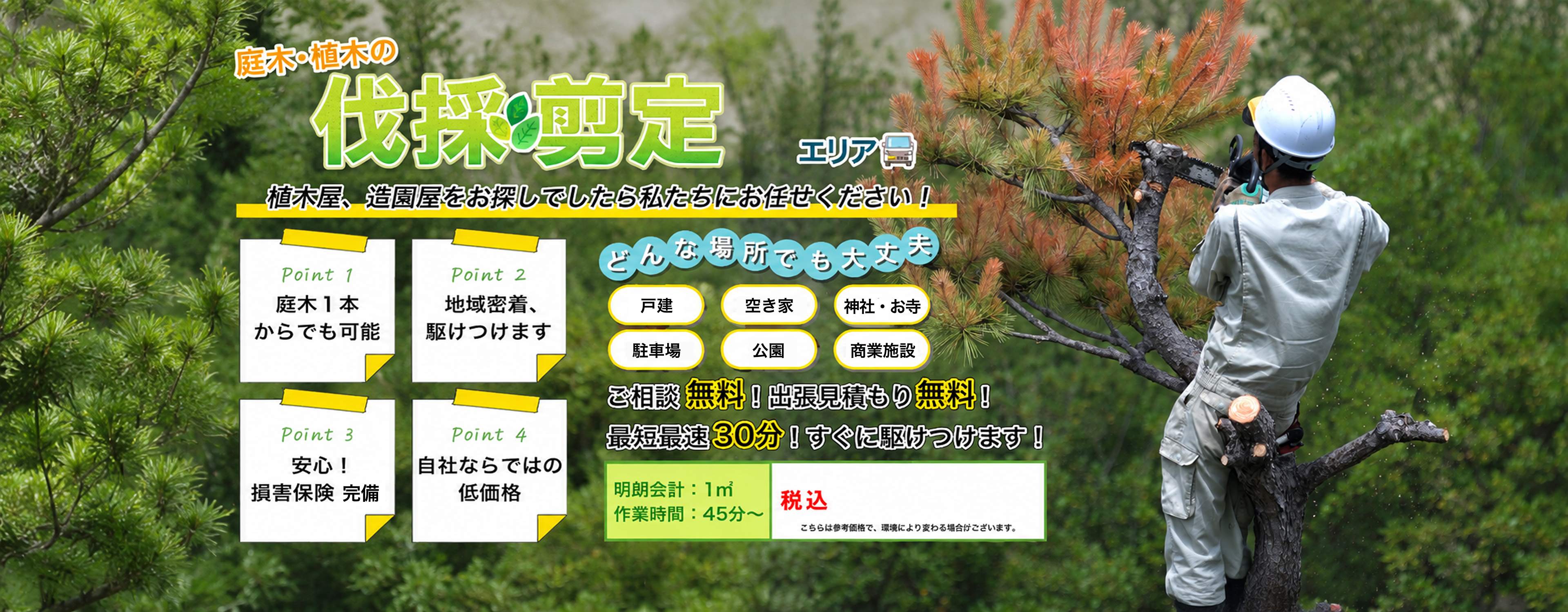 庭木・植木の伐採・剪定　植木屋、造園屋をお探しでしたら庭寅にお任せください！