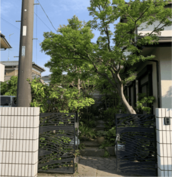 秋田県秋田市 刈り込み枝落とし